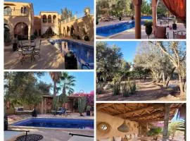 Riad Jardin des Orangers