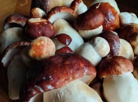 Ethno village & resort Ćorić, hotel i Mojkovac