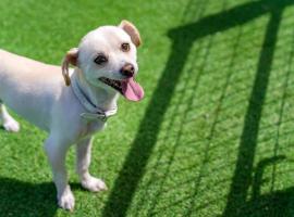 Gangneng Soowarae Pension, hotel in Gangneung
