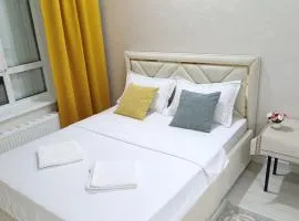 Центр Алматы 11