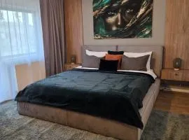 ALiVA Stay Apartment