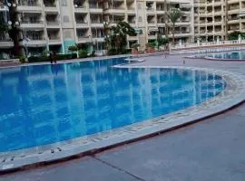 منتج الزهور اكتوبر الإسكندرية