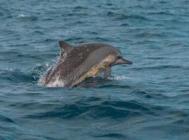 Roshanne Beach Resort, Kalpitiya, hotel in Kalpitiya
