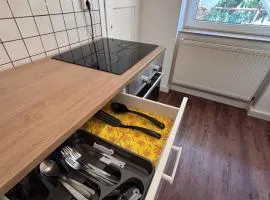 AriProp perfect apartment zeitz 8 Guests