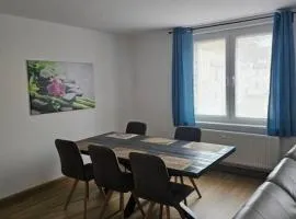 Schöne Vollausgestattete Monteurs- Gästewohnung nähe Raffinerie Leuna und Geiseltalsee 0304