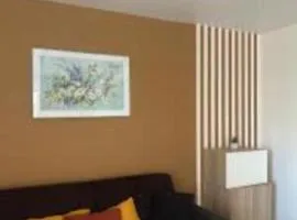 PARIS DISNEY 50m2 - 10min de Disney - L'Aviateur