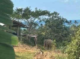 Elephants, Mountains & Sea View House in Kai Bae