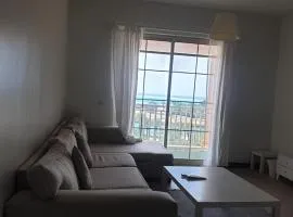 زهور المدينة