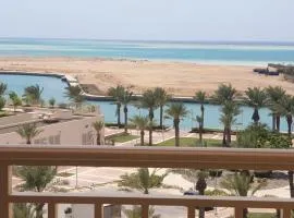 زهور المدينة