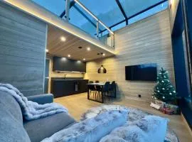 Levi Lapland Luxury Igloos B