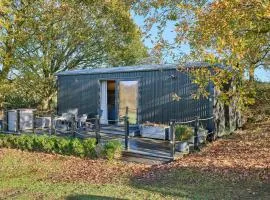 Host & Stay - Molly Mod