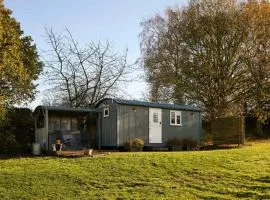 Host and Stay - Florence