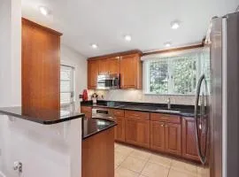 Modern DC City Home in McLean