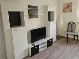 NEU! Ferienwohnung Elsteraue OG rechts