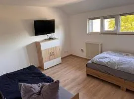 NEU! Ferienwohnung Elsteraue DG oben