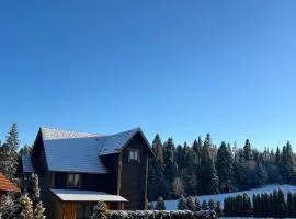 Лісовий Затишок