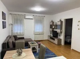 Apartman PETKOVIĆ Parobrodska 35