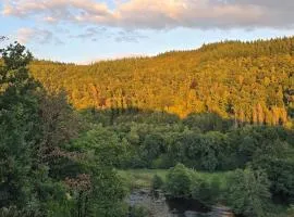 Vida Feliz, au cœur de la nature