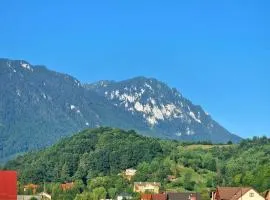 Mountain View Apartment