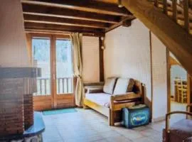 appartement le petit chalet sauna