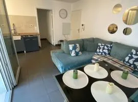 FLC- Vaste T2 -Parking-Air Conditioning-Terrace-6p-St Charles