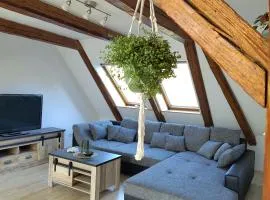 Ferienwohnung - Alte Mühle Extertal