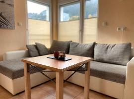 Wohnung Sonnenblume mit Infrarotkabine und Sommer Hörnerbahnen kostenlos, hotel di Bolsterlang