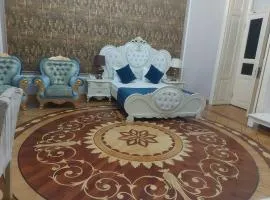 Hôtel Central Prestige - Rue Nizami