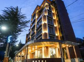 Steel Tower borjomi, luksushotel i Borjomi