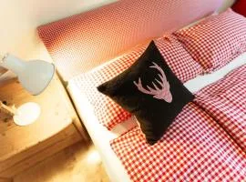 Haus Bergidyll 2-Raum-Wohnung Hüttenzauber