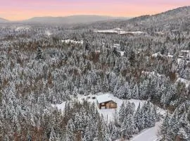 Le Chalet Boreal - SPA