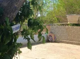 rancho rio