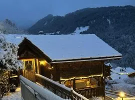 Chalet Rayon de Soleil Gryon Villars
