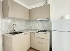 Renovated prestige apartment