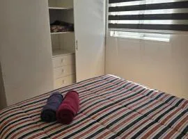 Favorito Departamento parcking y wifi 3 dorm