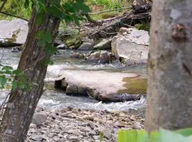 Casa Alemã Alfredo Wagner SC