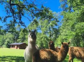 Cabañas Valle del Río