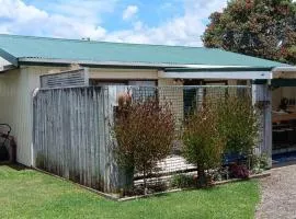 Hosts on the Coast Sandy Paws