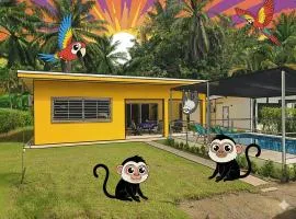 Pura Vida - Villa Lisa