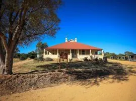 Barossa Cottage - Affordable 3-Bedroom House