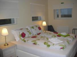 1A Guesthouse, accommodation in Vatnsholt