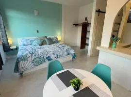 Remodeled Studios on Calle Adelita, Madera