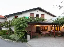 Janezinovi House