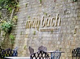 DD Hospitality - Mây Bách Đà lạt