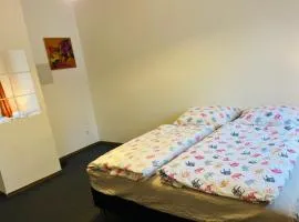 Krásný byt v srdci historického Tábora