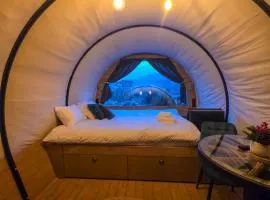 Nomad by Hora cu Brazi