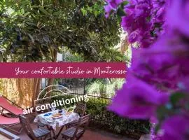 Il Giardino di Ada Ground Floor Studio with AC and Patio