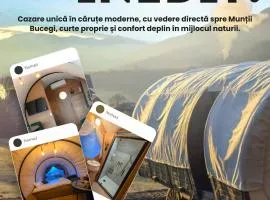 Nomad by Hora cu Brazi