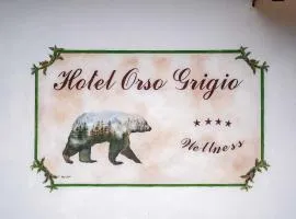 Hotel Orso Grigio