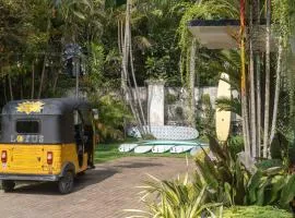 Lotus Surf And Wellness